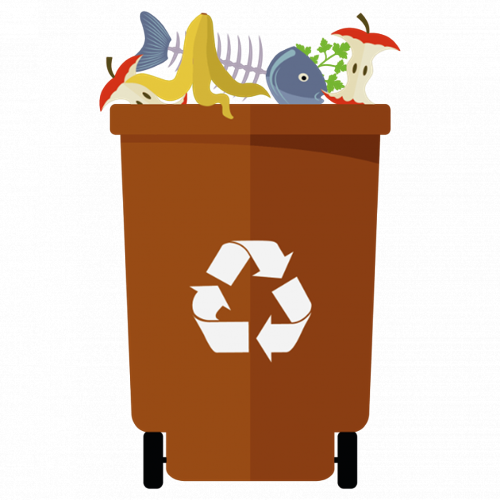 Nuova raccolta organico